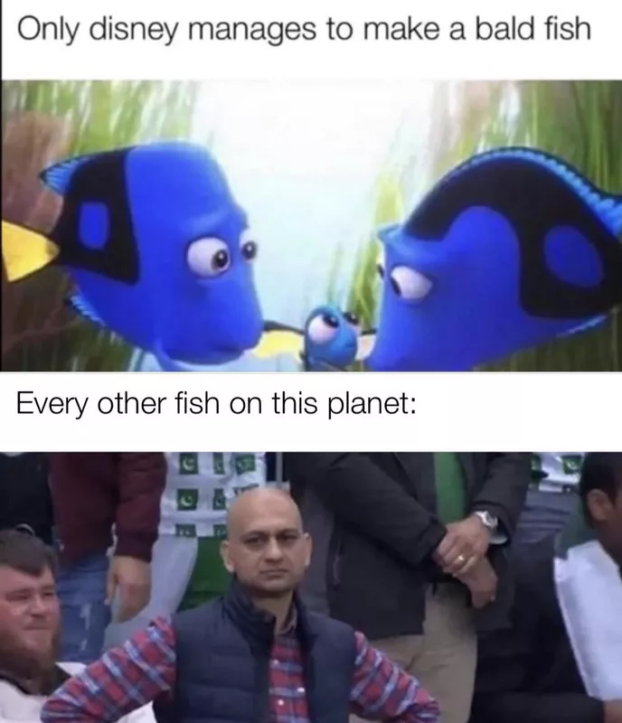 Finding Dory meme
