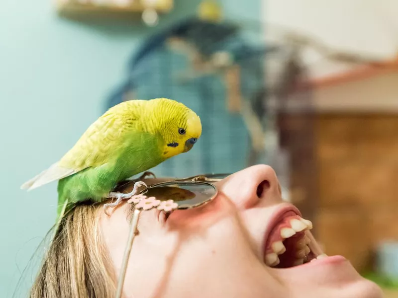 National Bird Day