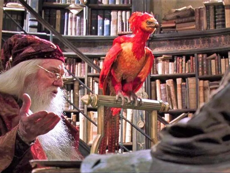 Fawkes