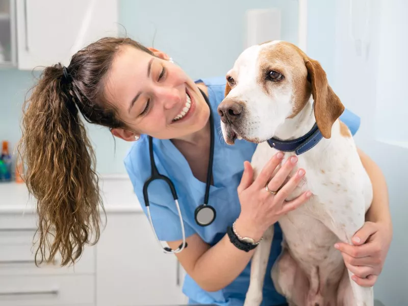 Veterinary nurse smiling while playing with a dog