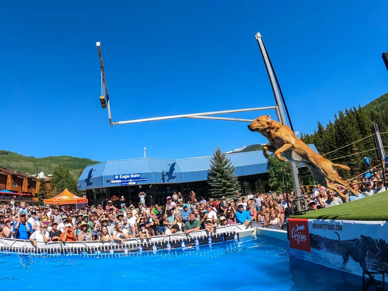 Dock Diving