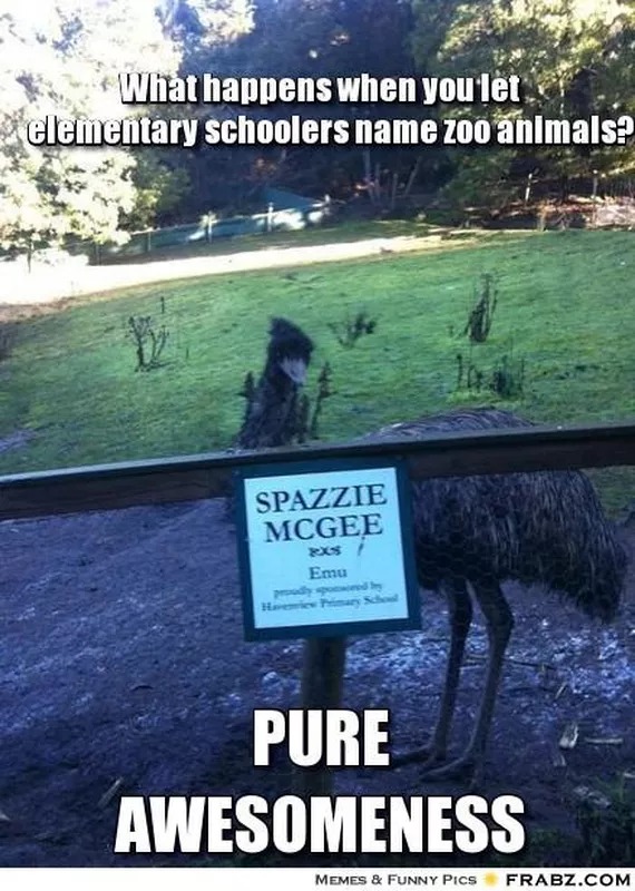 What happens when you let elementary schoolers name zoo animals