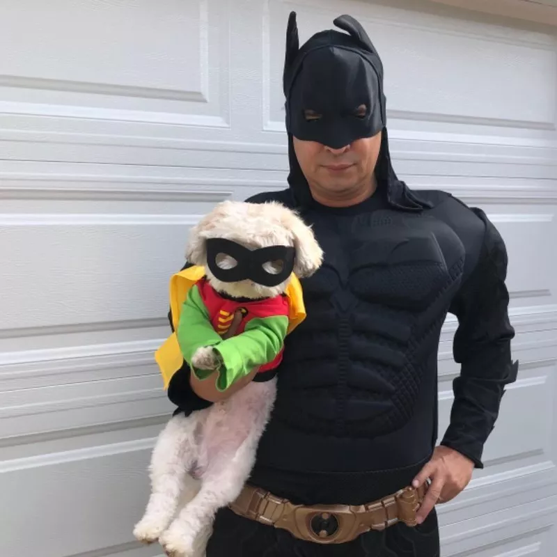 DC Comics Teen Titans Pet Costume