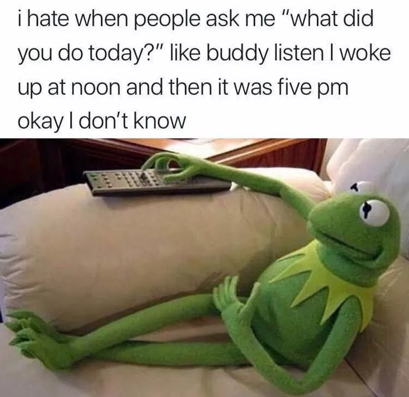 Kermie flipping the remote