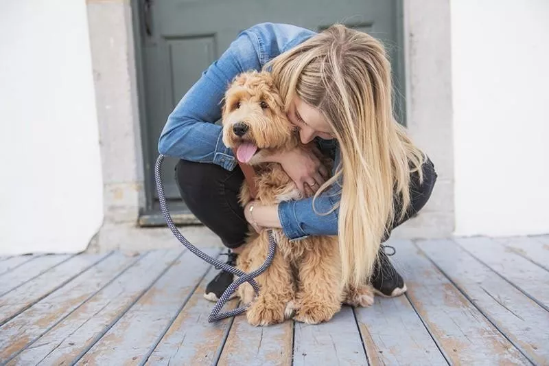 Dog body language showing he doesn't like hugs