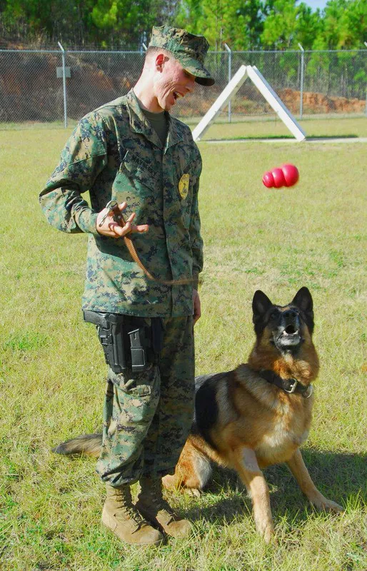 Lex and Marine Sgt. Larry Mayberry