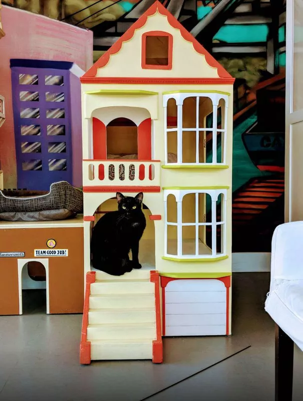 Cat Town