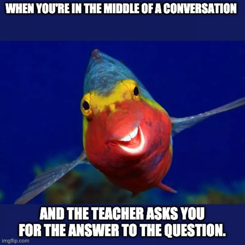 Funny fish meme