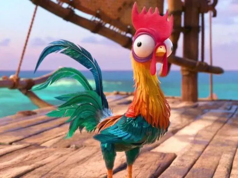 HeiHei from Moana
