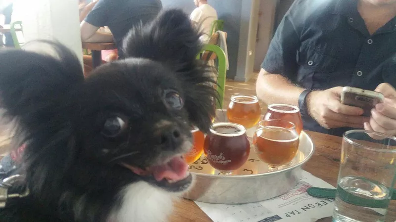 Begyle Brewing