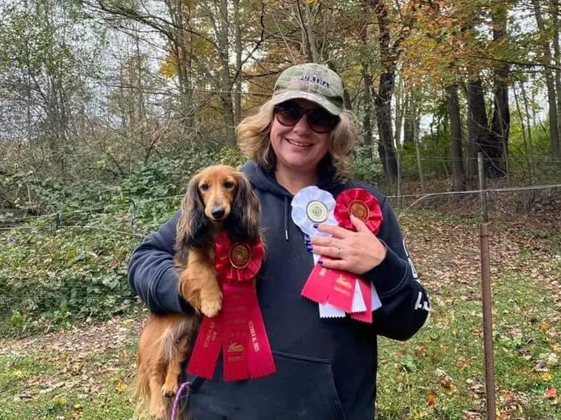 Dachshund Field Trials