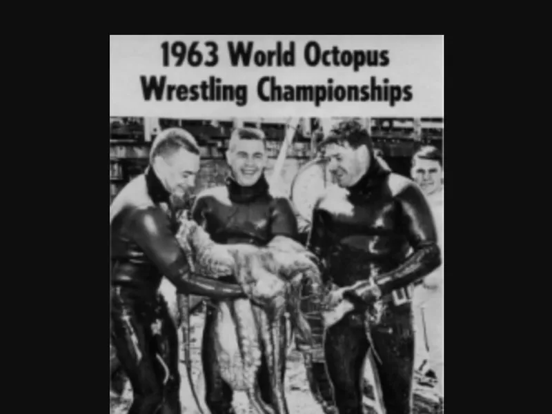 Octopus wrestling champions