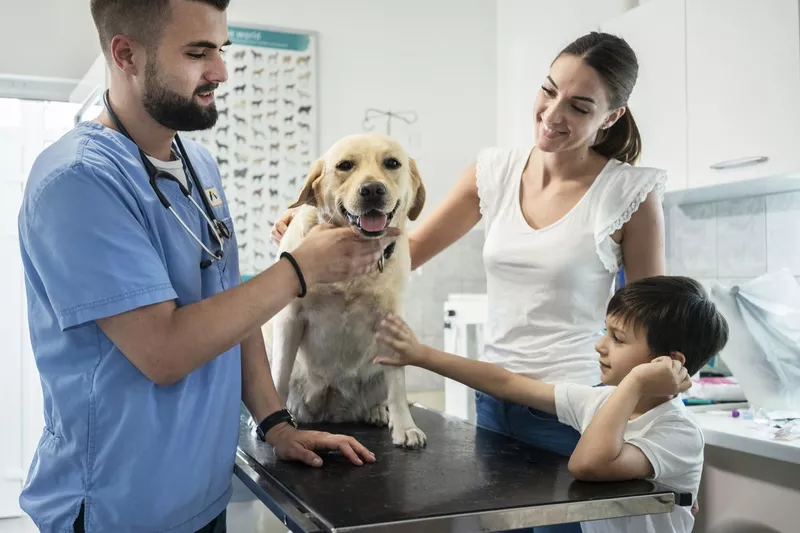 Dog at the vet