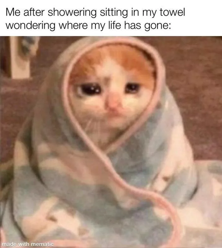 Cat sitting in towel after a shower