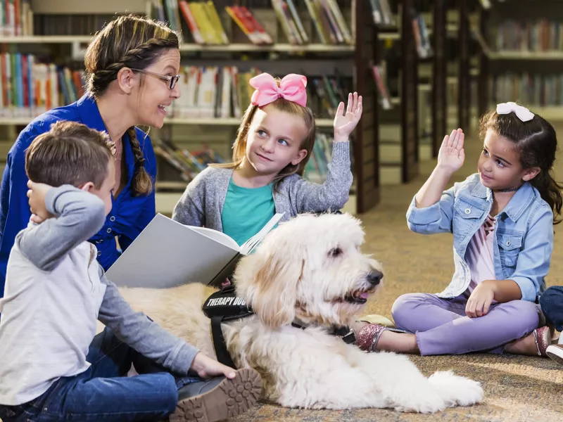 Children in library with reading assistance dog