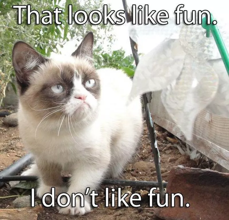 No fun allowed