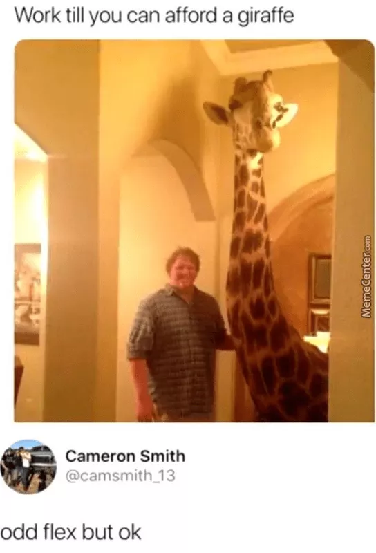 Work 'til you can afford a giraffe