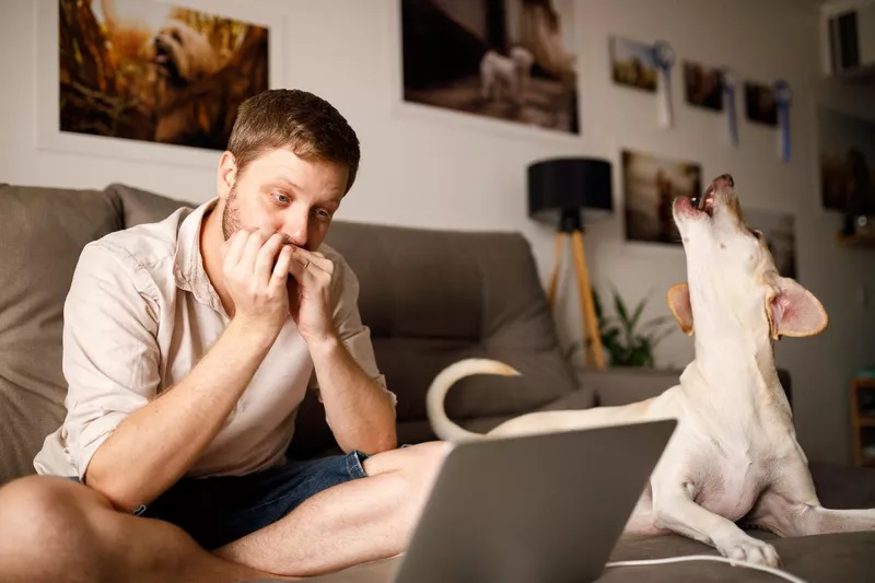 Man and his dog singing