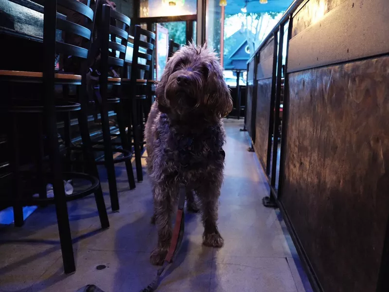 Norm's Eatery and Ale House