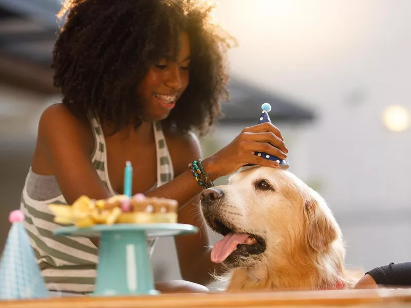 DOGust Universal Birthday for Shelter Dogs