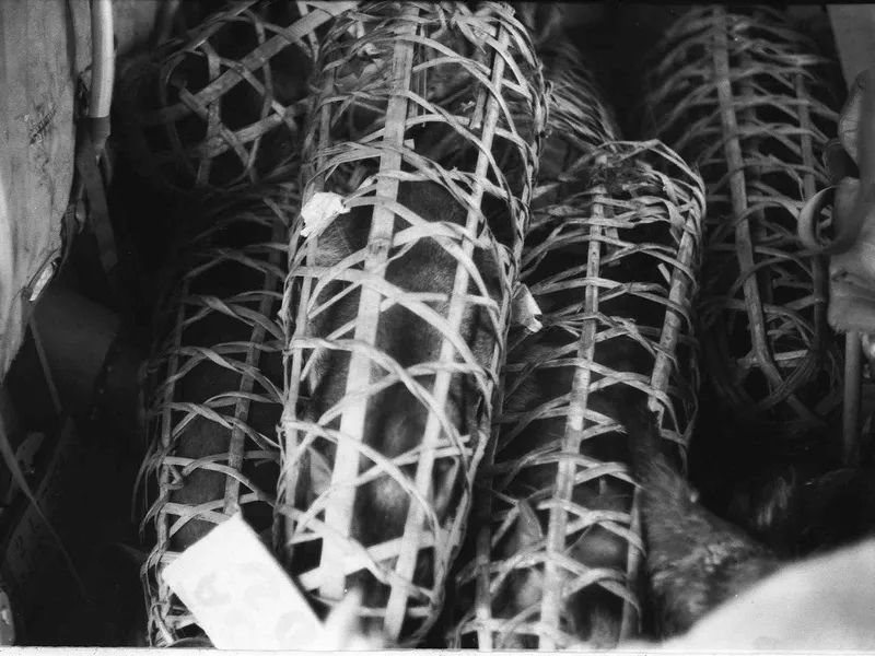 World War II Pig Baskets