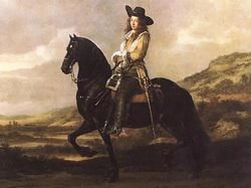 Medieval War Horse