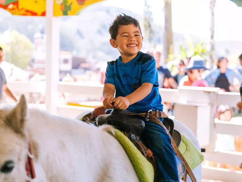 Boy riding a horse at Lemos Farm