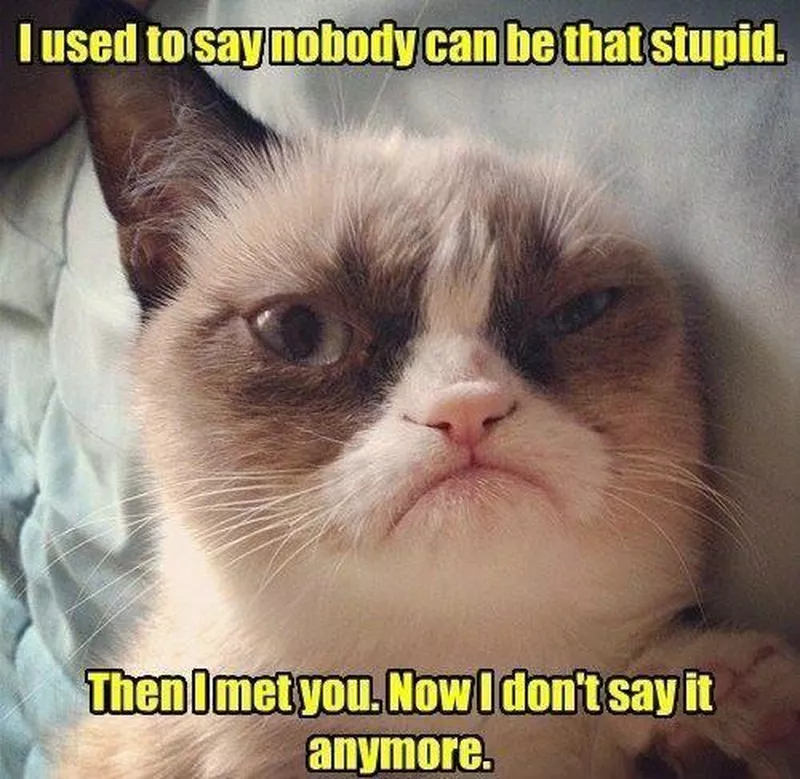 Nobody can be that stupid