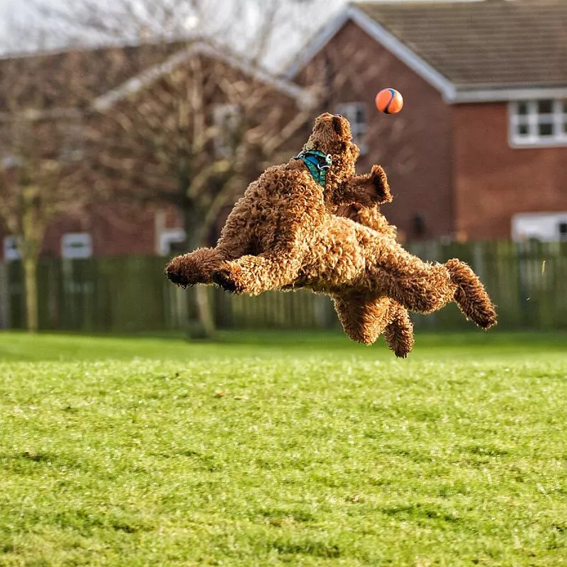 Keep your eye on the ball