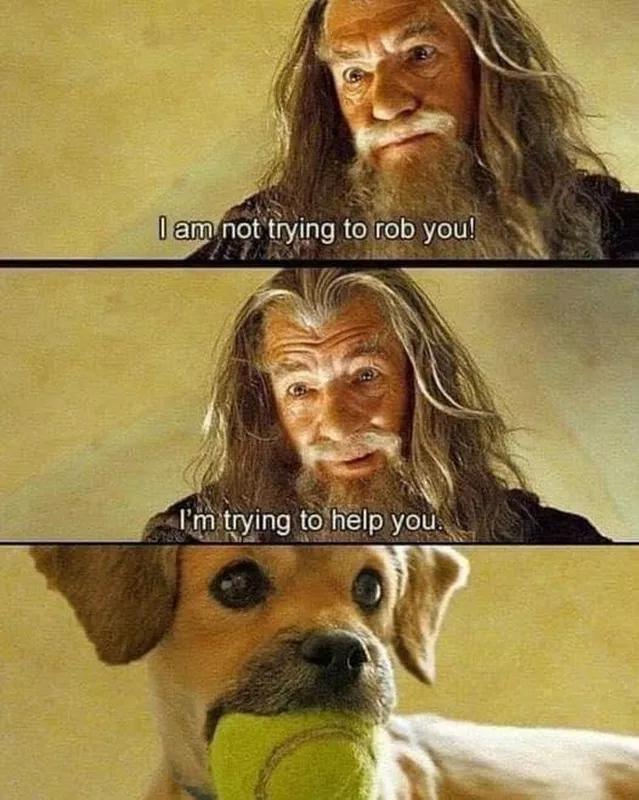 I'm trying to help you meme