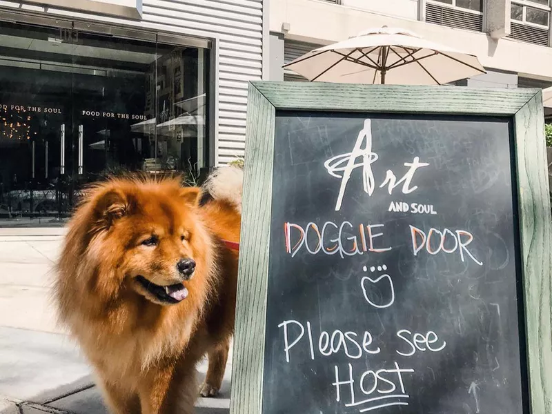 Art and Soul