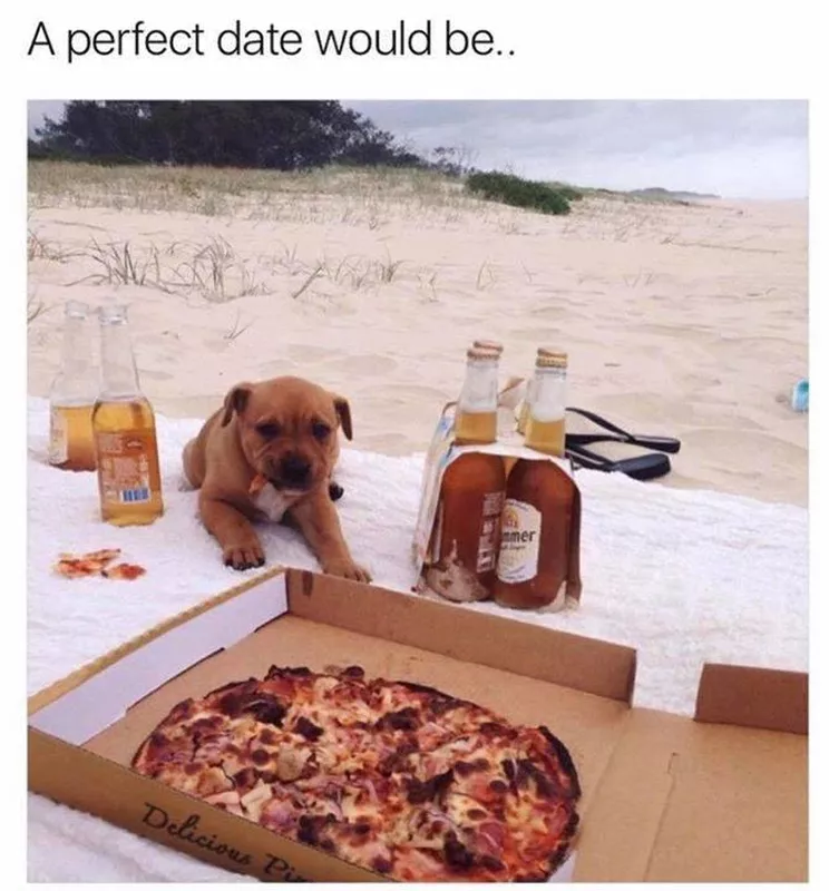 Puppy at the beach