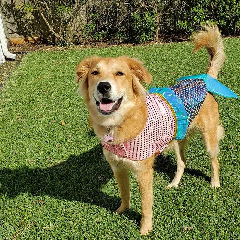 Cyeollo Mermaid Dog Costume
