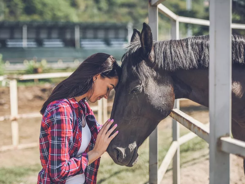 young woman and horse