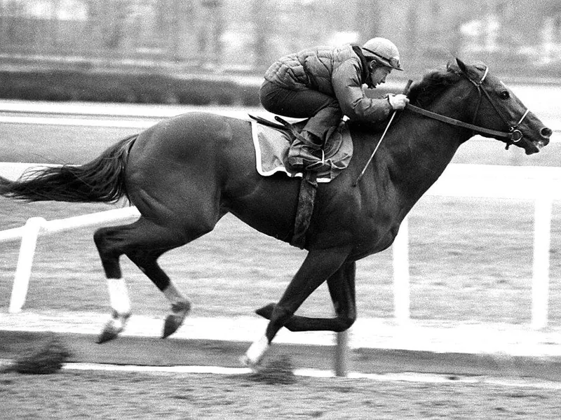 Secretariat