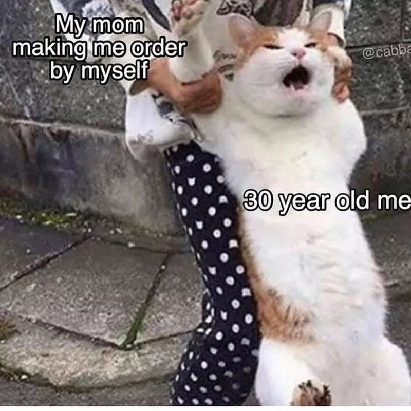Grumpy cat meme