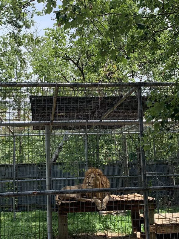 Tregembo Animal Park
