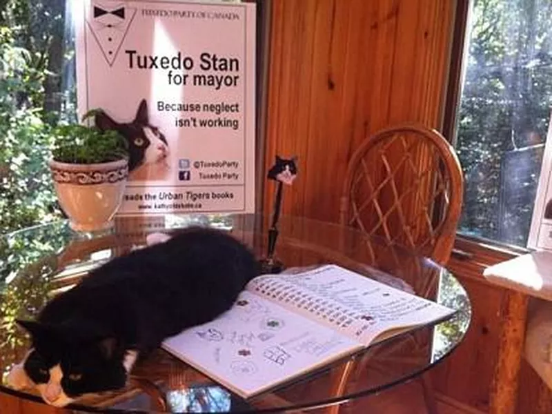 Tuxedo Stan for mayor