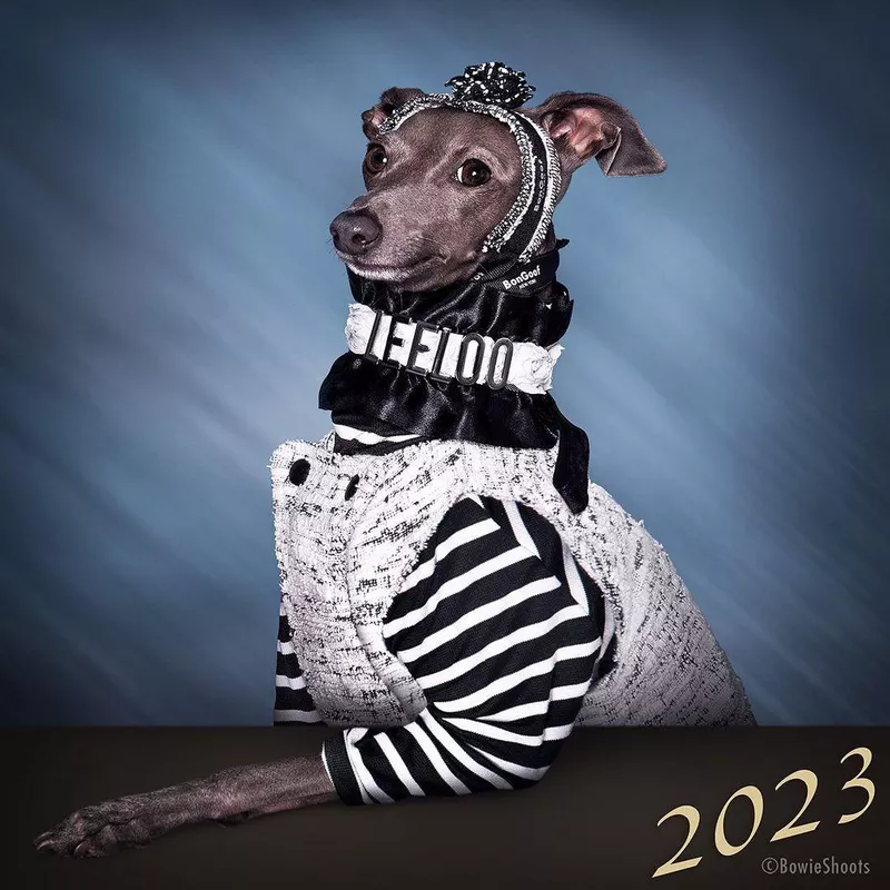 Leeloo in an elaborate costume