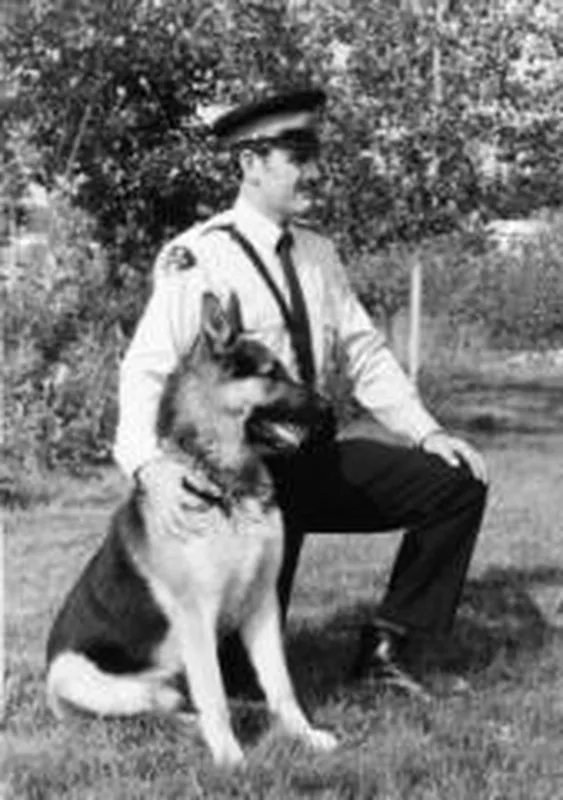 Cloud II, a Canadian police dog