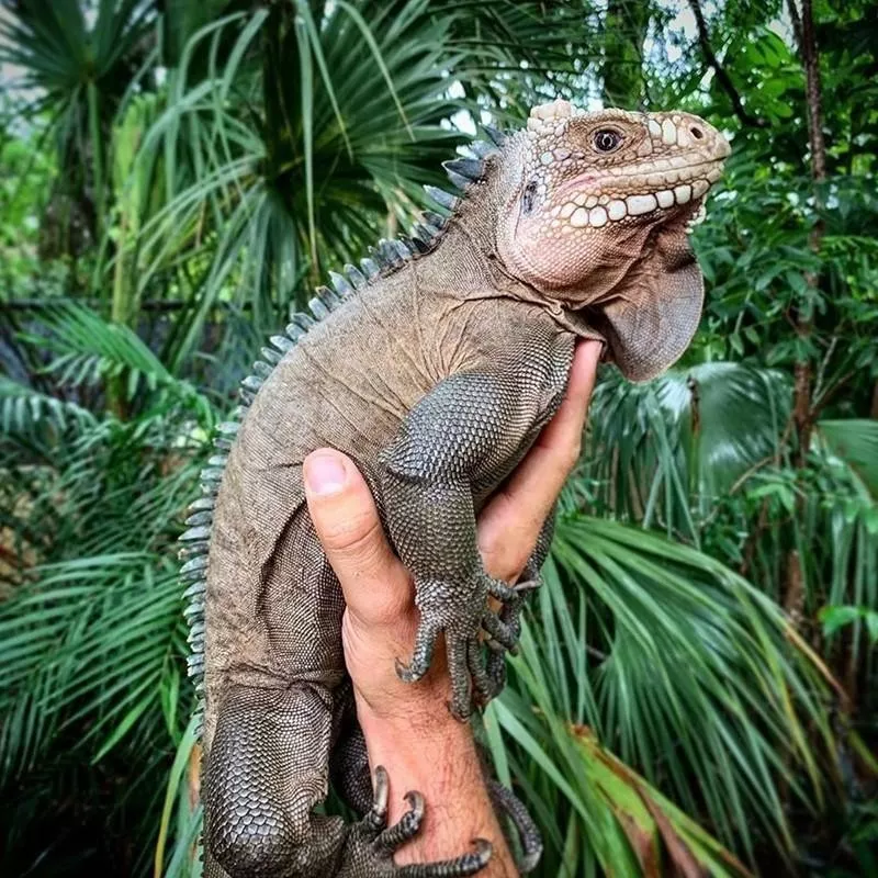 Zoo Miami