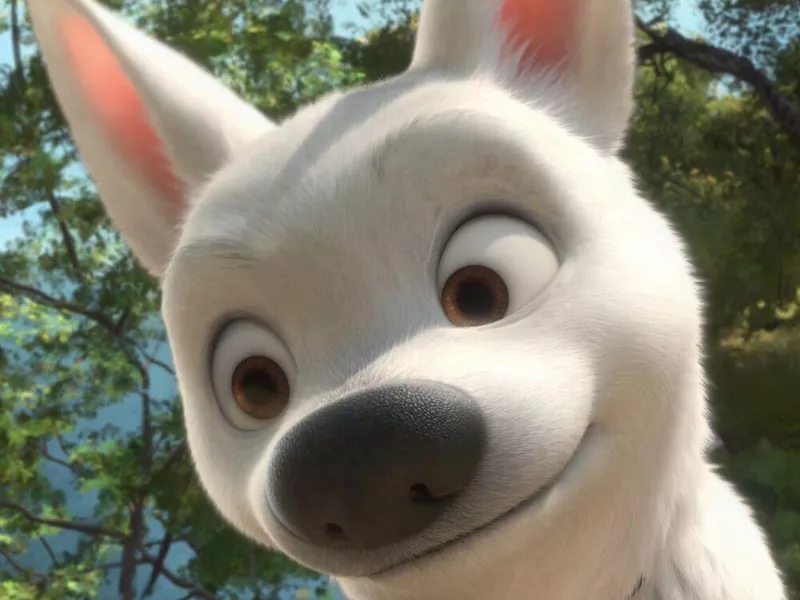 Bolt