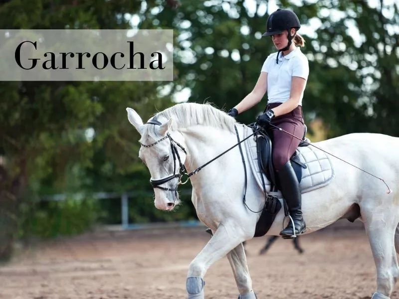 Garrocha