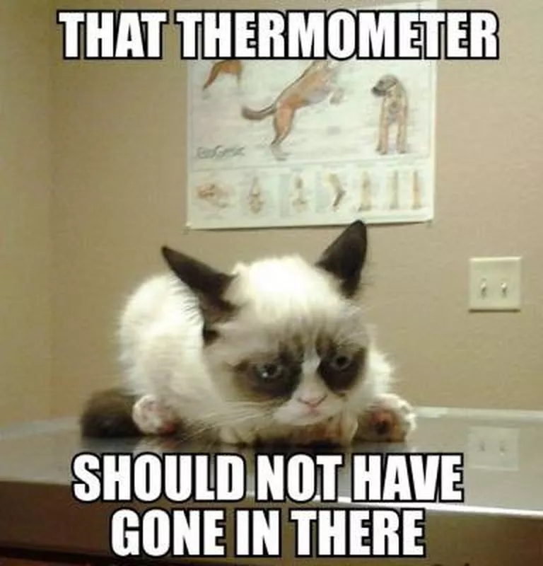 Trips to the vet