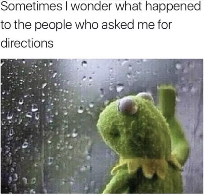 Kermit by a rainy window