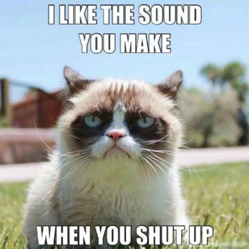 Shutting up