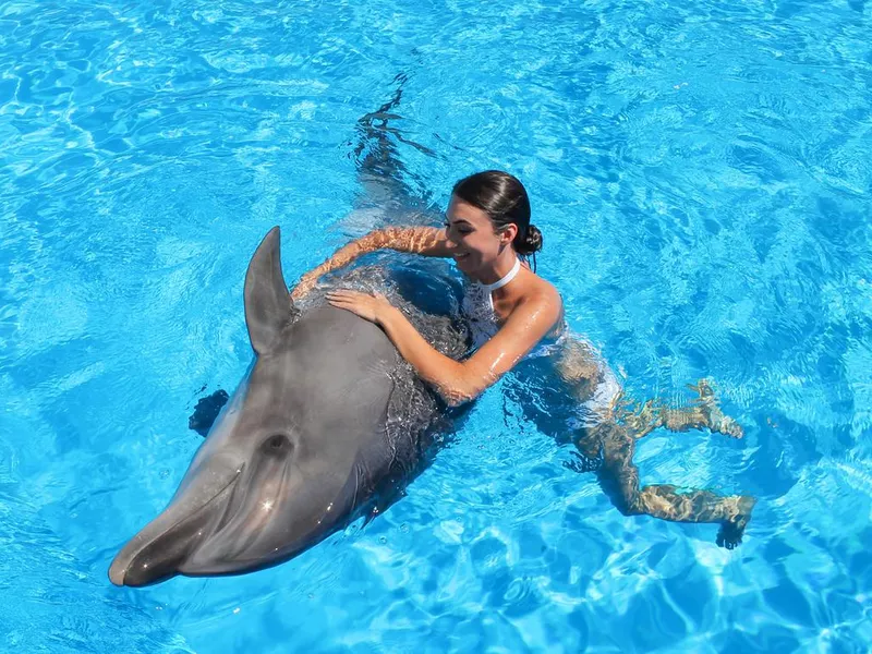 Happy woman swims with cute dolphin in blue water