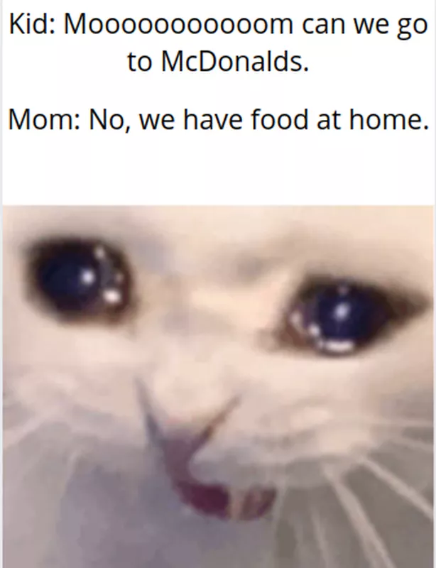 Cat asking mom to get McDonald's