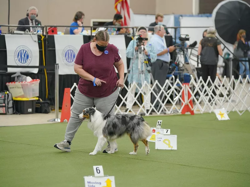 Rally Obedience