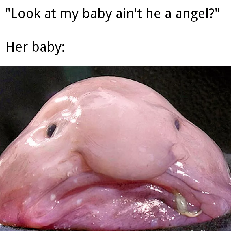 Blob fish meme
